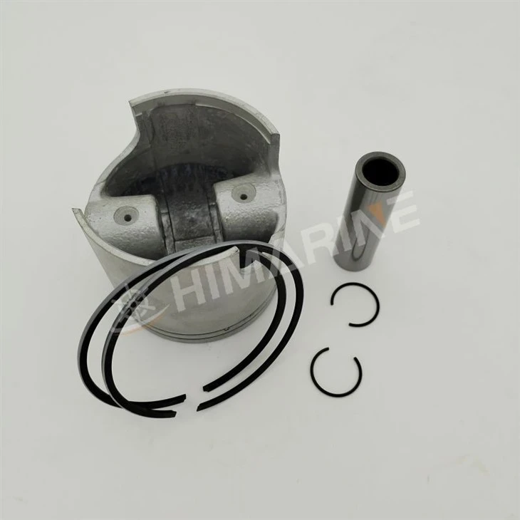 688116310394 Piston Set