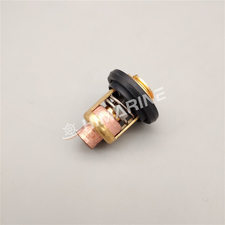 Thermostat 67F-12411-01